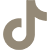 tiktok icon